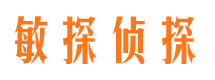 边坝市侦探调查公司